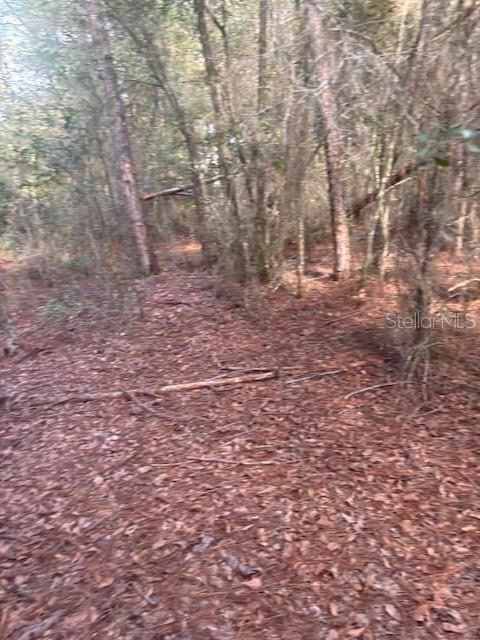 На продажу: $39,999 (3.28 acres)