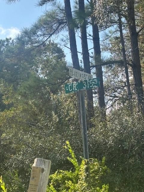 На продажу: $39,999 (3.28 acres)