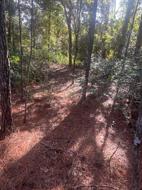 На продажу: $39,999 (3.28 acres)