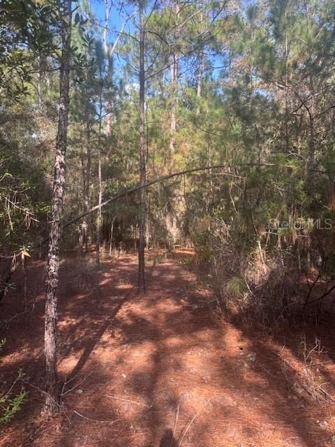 На продажу: $39,999 (3.28 acres)