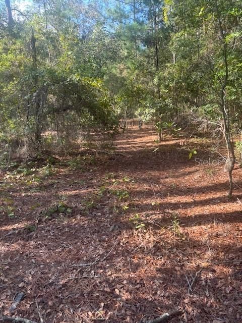 На продажу: $39,999 (3.28 acres)