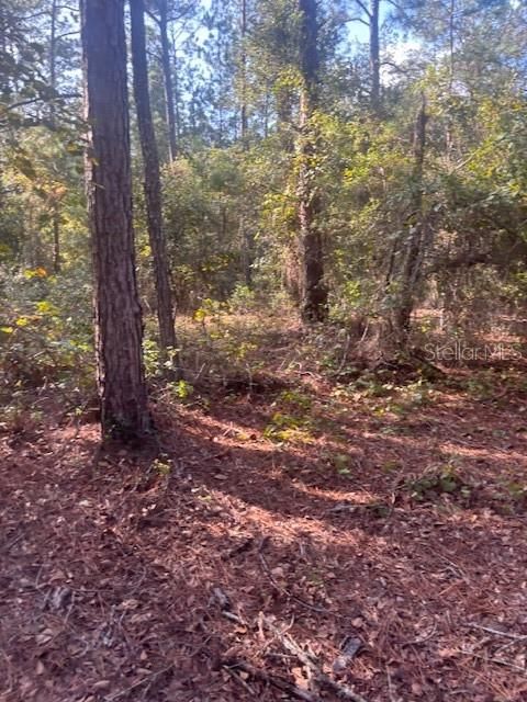 На продажу: $39,999 (3.28 acres)