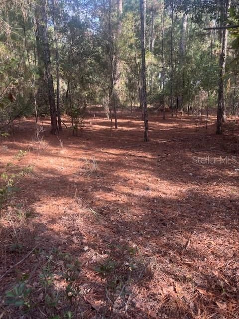 На продажу: $39,999 (3.28 acres)