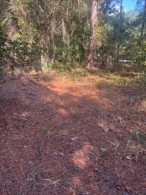 На продажу: $39,999 (3.28 acres)