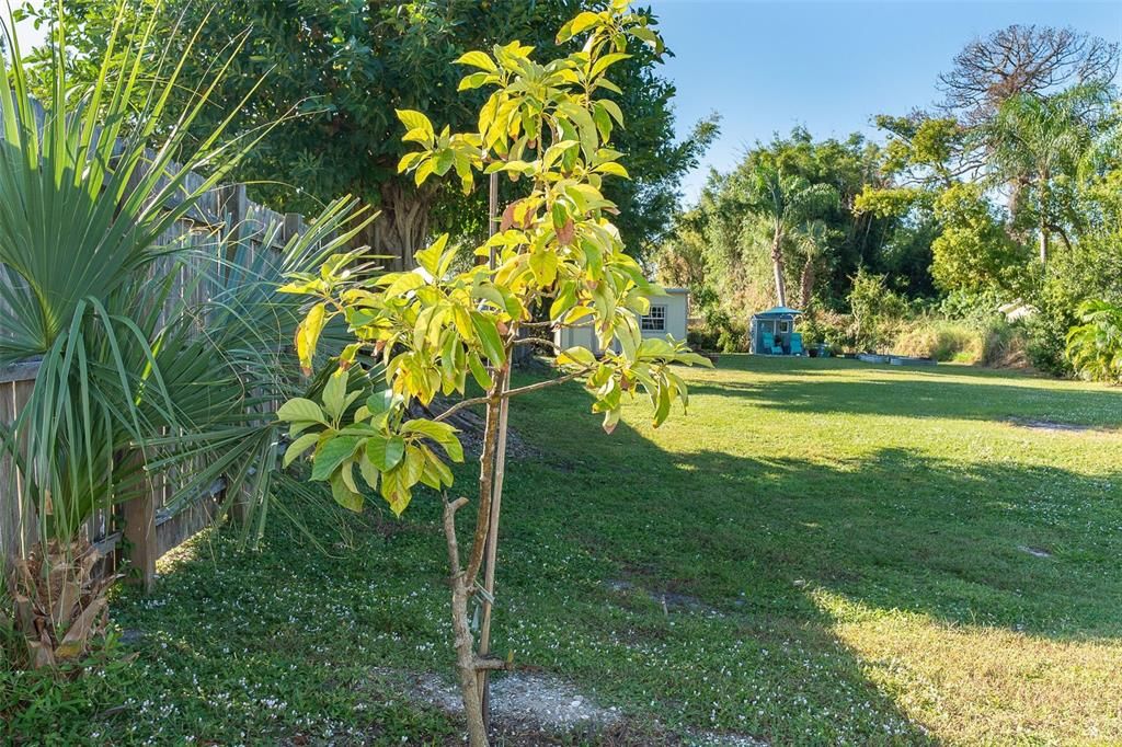 Active With Contract: $479,900 (2 beds, 2 baths, 1017 Square Feet)