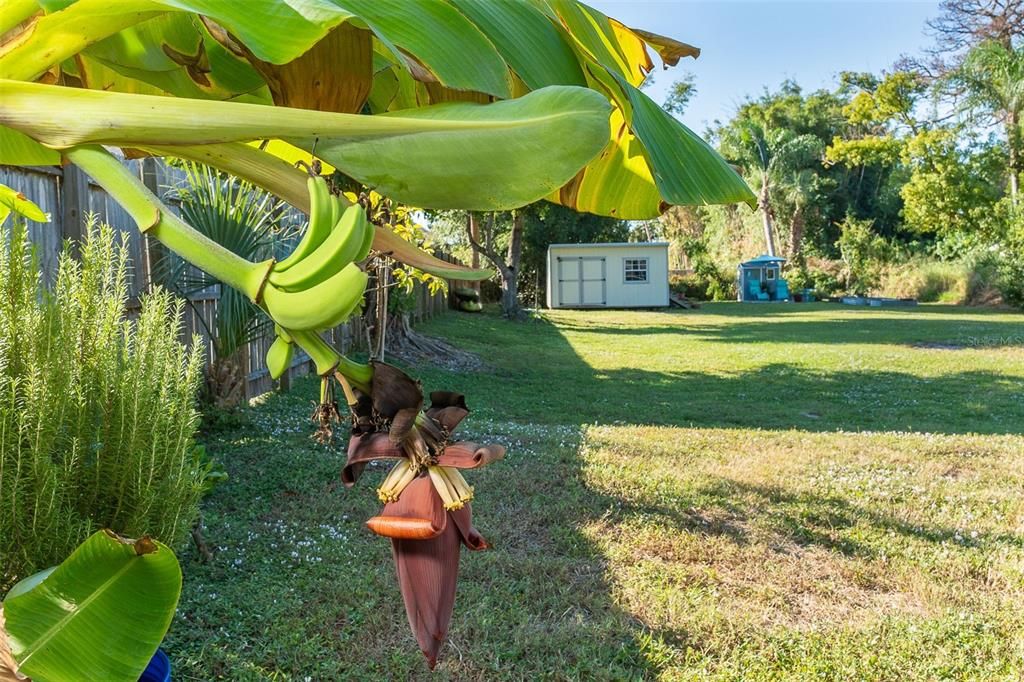 Active With Contract: $479,900 (2 beds, 2 baths, 1017 Square Feet)