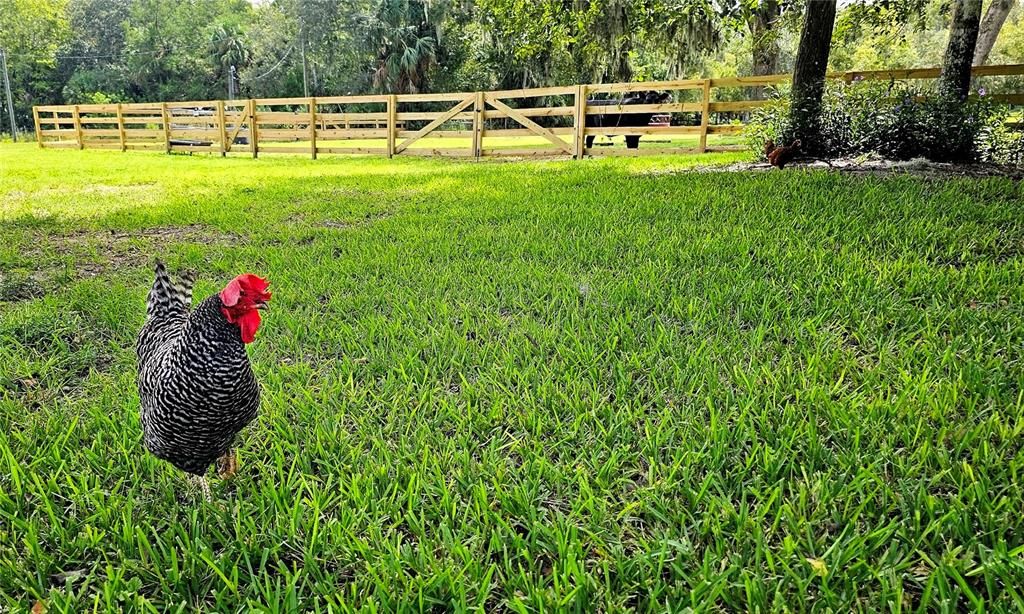 For Sale: $825,000 (1 beds, 1 baths, 1000 Square Feet)