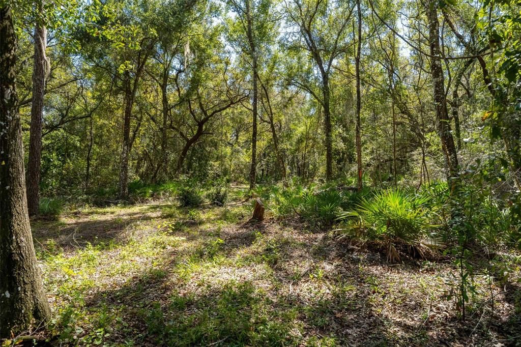 На продажу: $199,000 (3.31 acres)