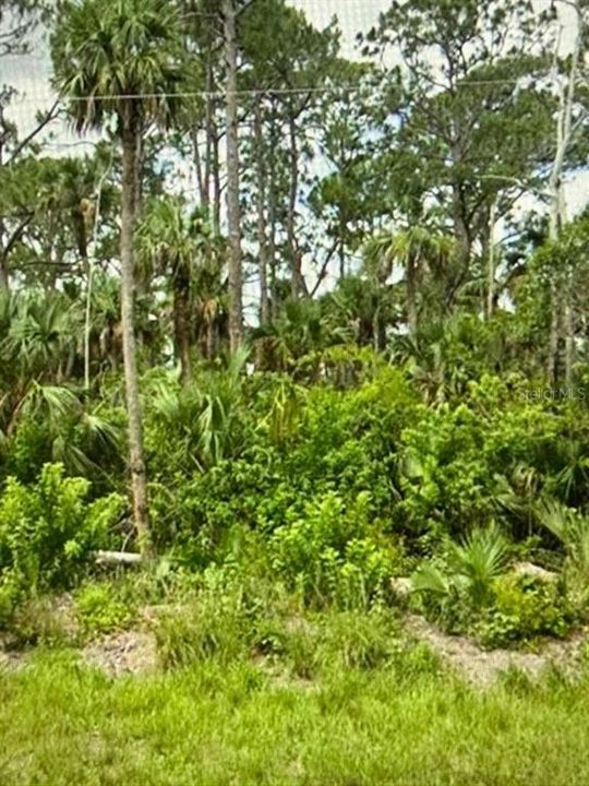 На продажу: $26,000 (0.23 acres)