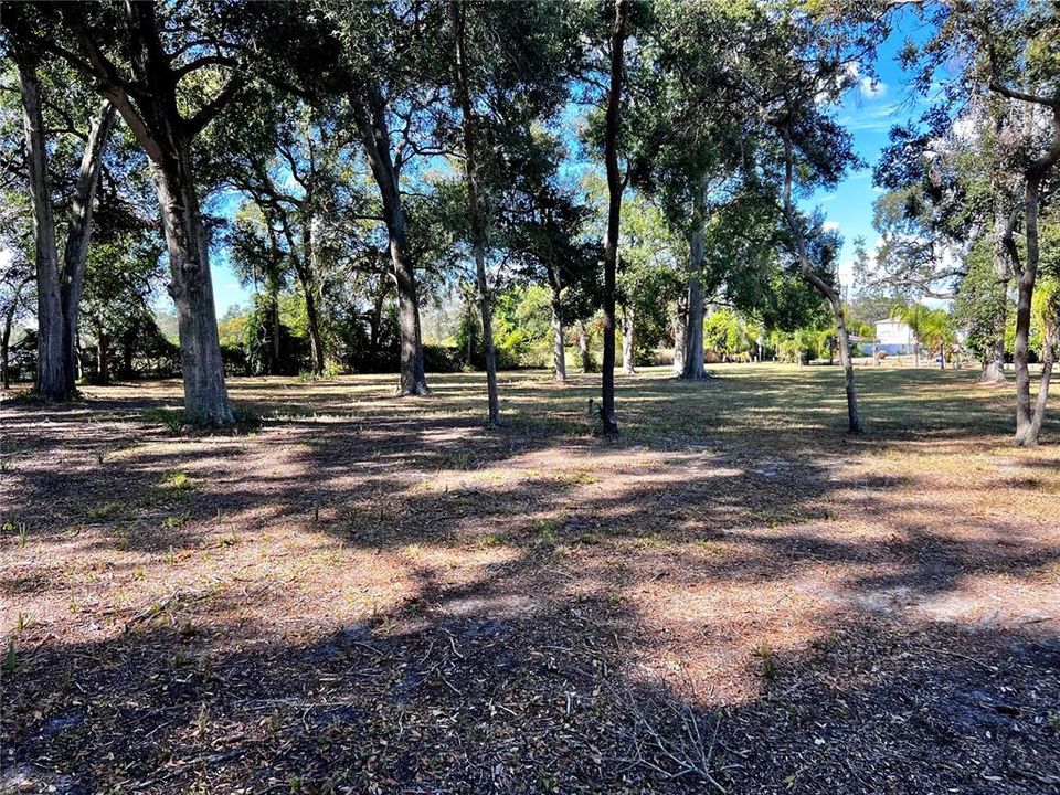 For Sale: $800,000 (5 beds, 3 baths, 3844 Square Feet)