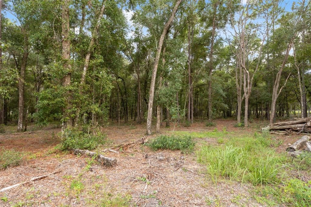 For Sale: $409,900 (4 beds, 2 baths, 2280 Square Feet)