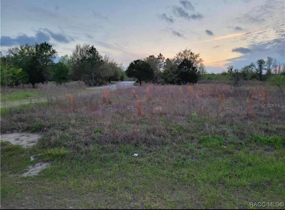 For Sale: $24,700 (0.23 acres)