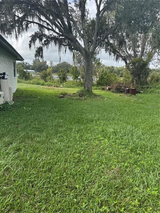 В аренду: $2,600 (3 спален, 2 ванн, 1272 Квадратных фут)