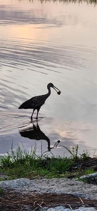 На продажу: $225,000 (2 спален, 2 ванн, 1248 Квадратных фут)