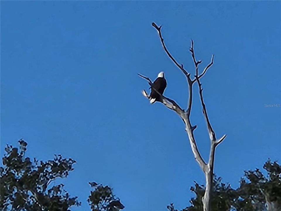 На продажу: $225,000 (2 спален, 2 ванн, 1248 Квадратных фут)