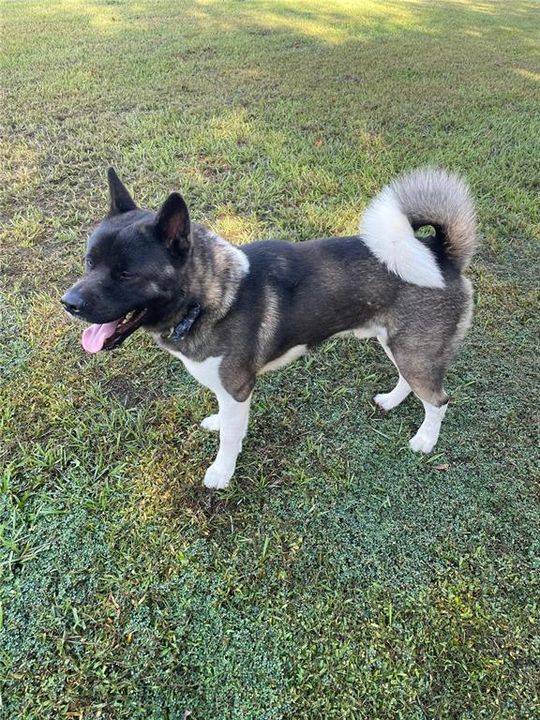 For Rent: $2,880 (4 beds, 3 baths, 2600 Square Feet)