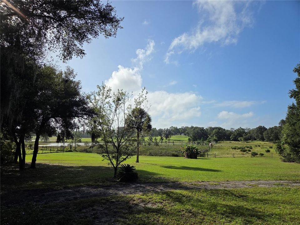 合同活跃: $395,000 (2 贝兹, 1 浴室, 1321 平方英尺)