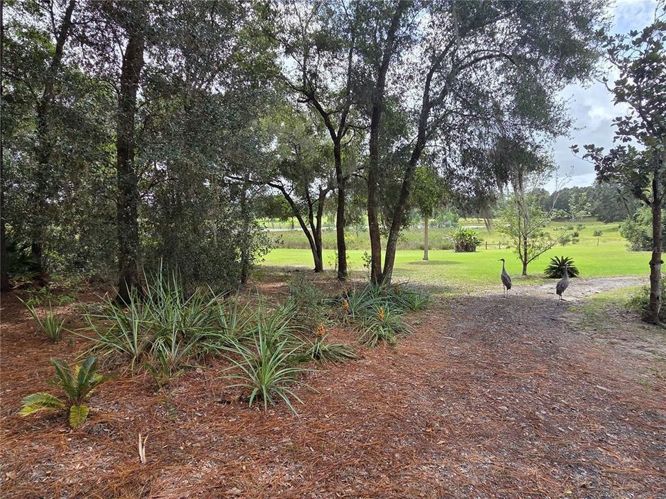 合同活跃: $395,000 (2 贝兹, 1 浴室, 1321 平方英尺)