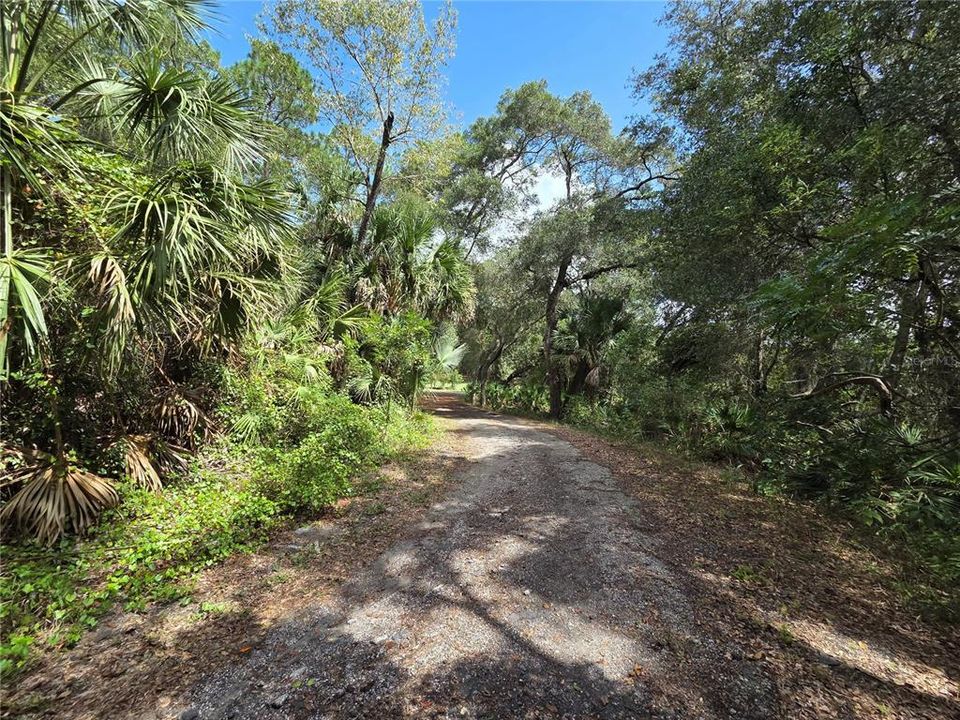 合同活跃: $395,000 (2 贝兹, 1 浴室, 1321 平方英尺)