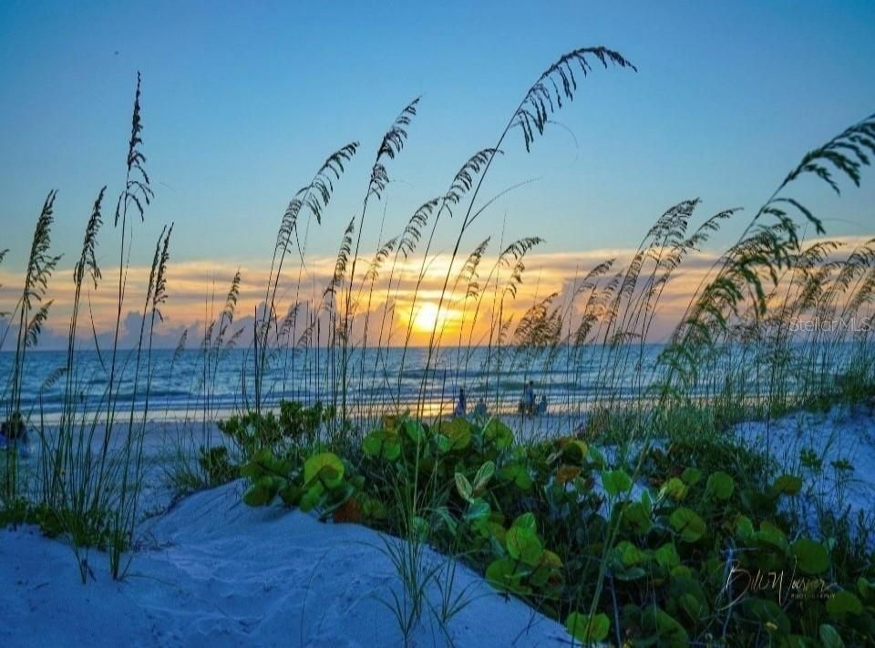 For Rent: $2,875 (3 beds, 2 baths, 1584 Square Feet)