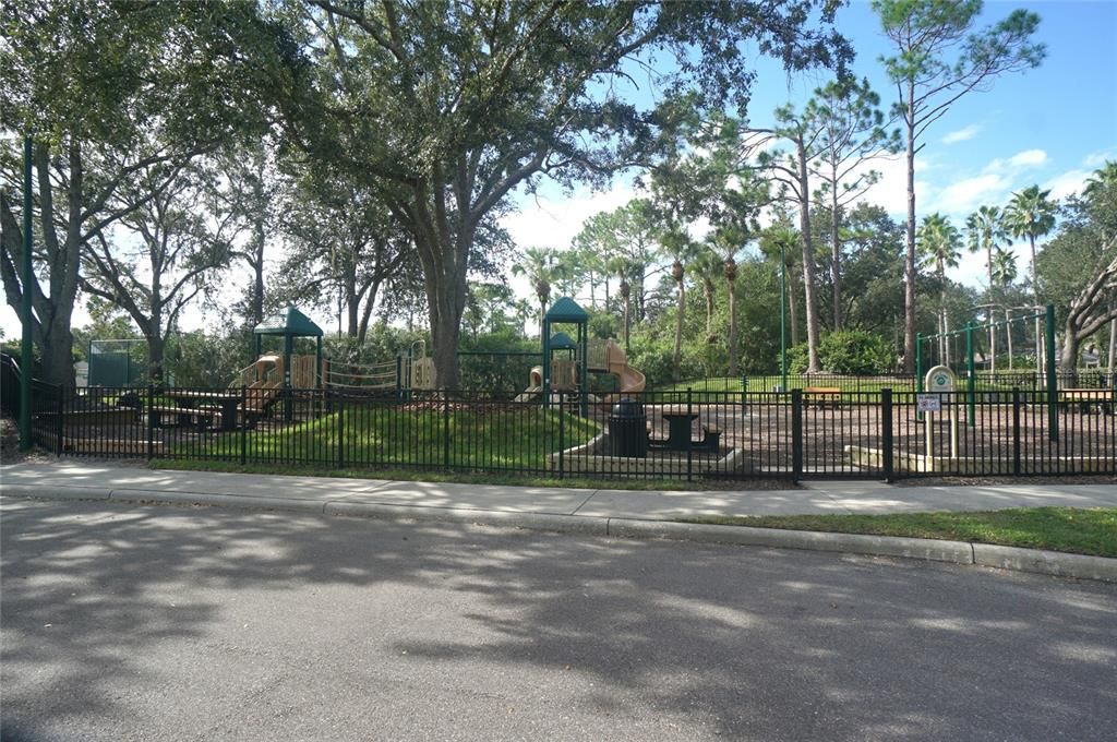 В аренду: $3,000 (4 спален, 2 ванн, 2264 Квадратных фут)