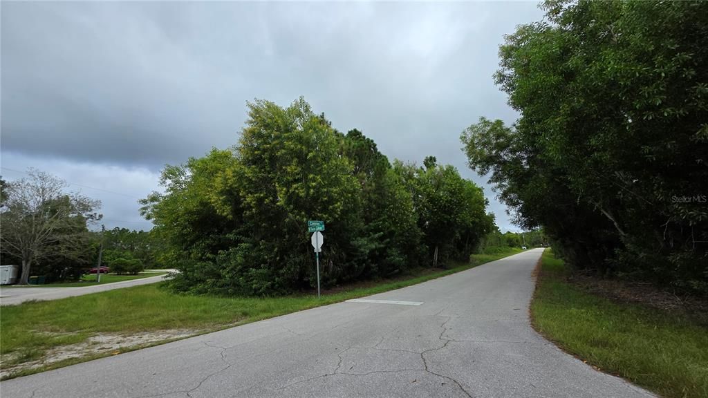 For Sale: $32,000 (0.36 acres)