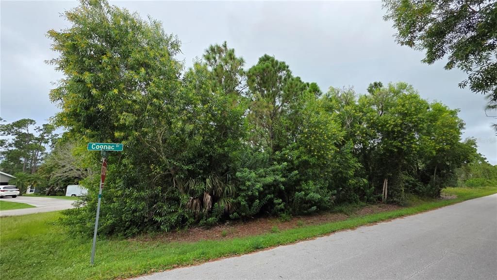 For Sale: $32,000 (0.36 acres)