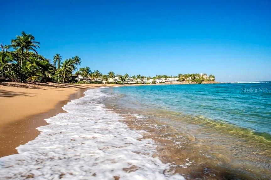 For Sale: $2,750,000 (5 beds, 4 baths, 2900 Square Feet)