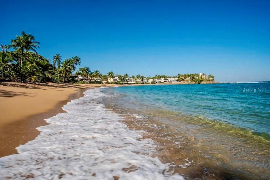 For Sale: $2,750,000 (5 beds, 4 baths, 2900 Square Feet)