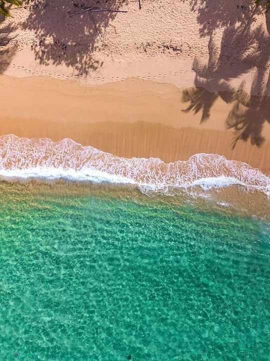 For Sale: $2,750,000 (5 beds, 4 baths, 2900 Square Feet)