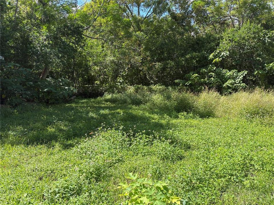 合同活跃: $67,003 (4 贝兹, 2 浴室, 1782 平方英尺)