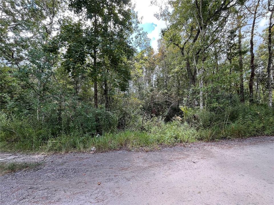 На продажу: $30,000 (0.18 acres)