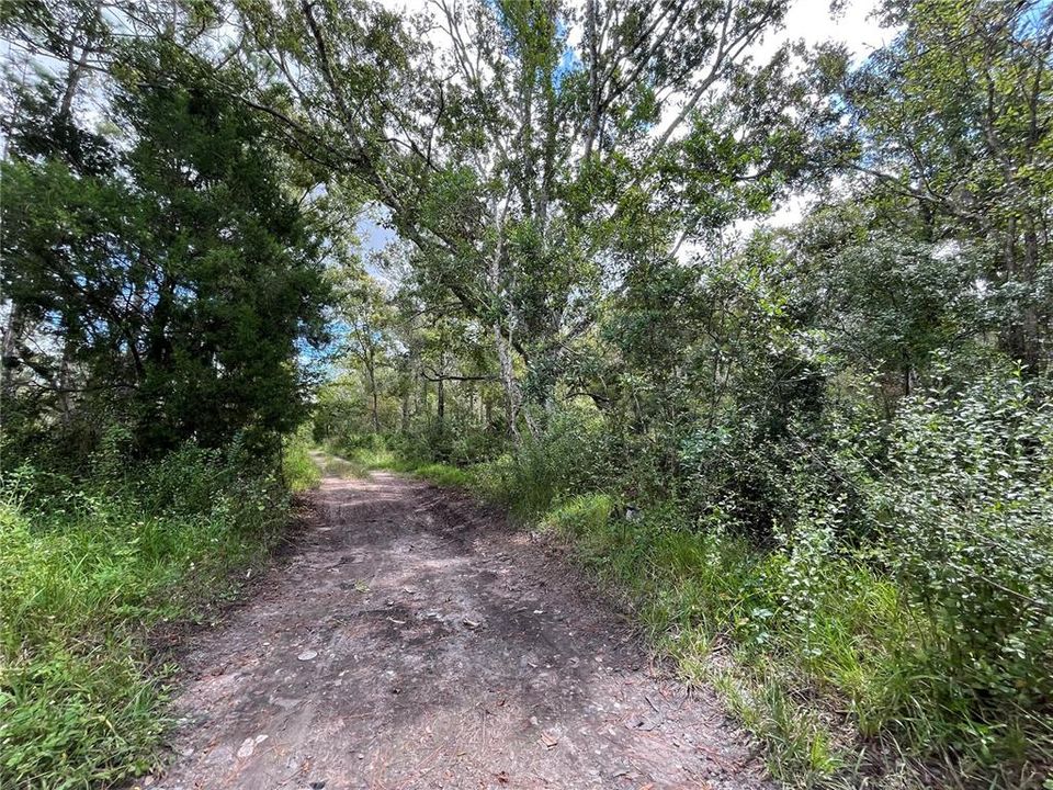 На продажу: $30,000 (0.18 acres)