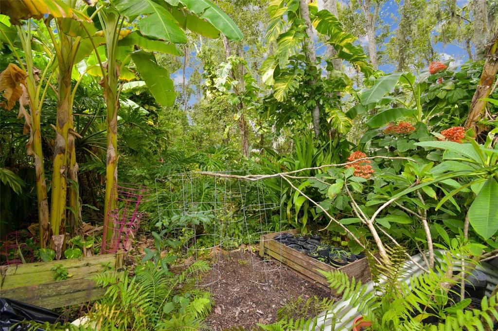 На продажу: $299,900 (3 спален, 2 ванн, 1185 Квадратных фут)