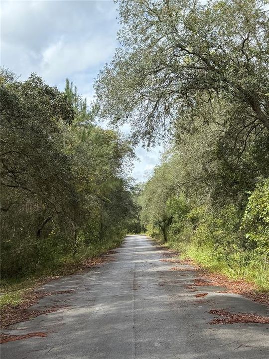 待售: $17,000 (0.37 acres)