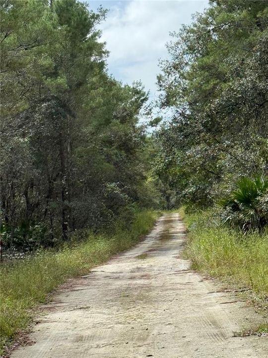 待售: $17,000 (0.37 acres)