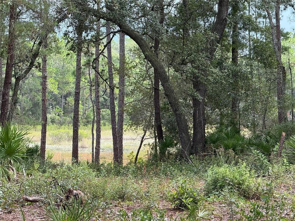 待售: $17,000 (0.37 acres)