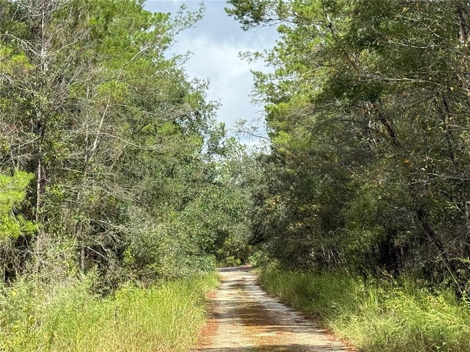 待售: $17,000 (0.37 acres)