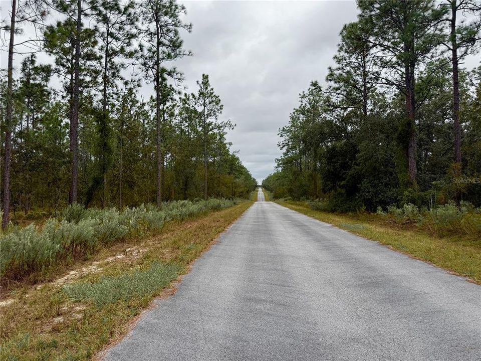 For Sale: $14,900 (0.25 acres)