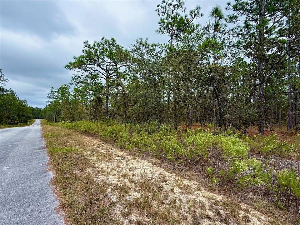 For Sale: $14,900 (0.25 acres)