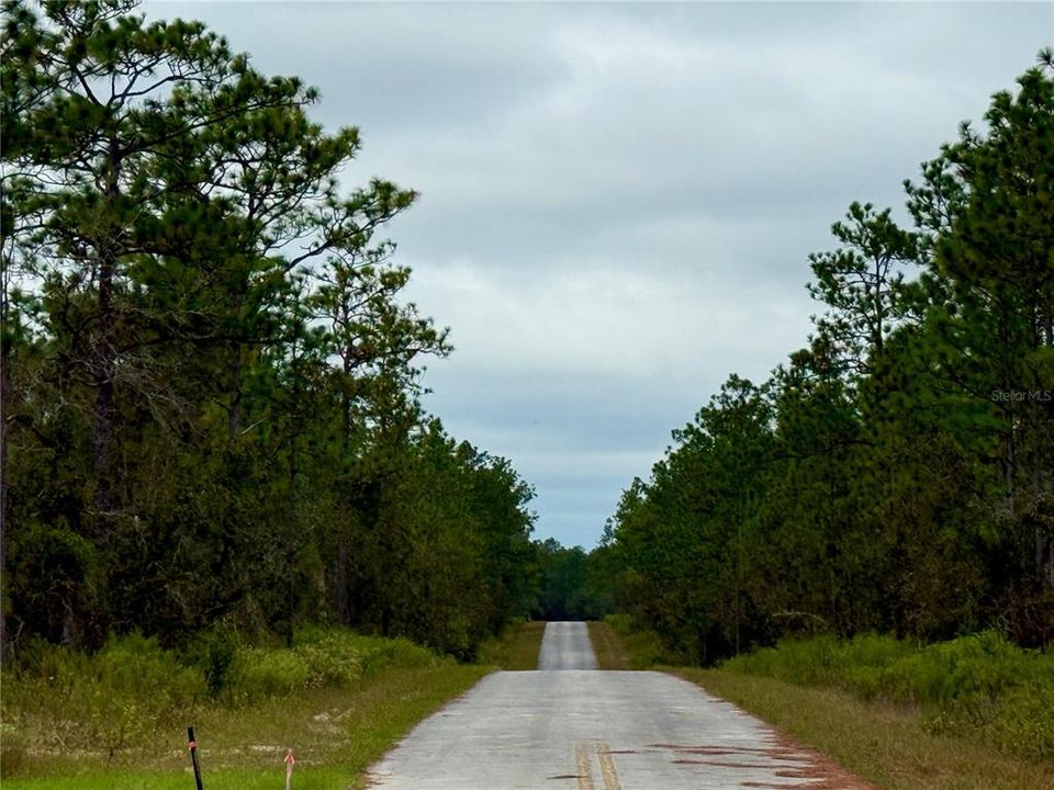 For Sale: $14,900 (0.25 acres)