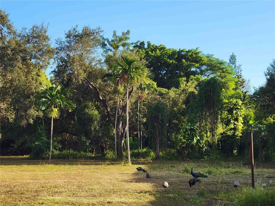 待售: $2,250,000 (1.15 acres)