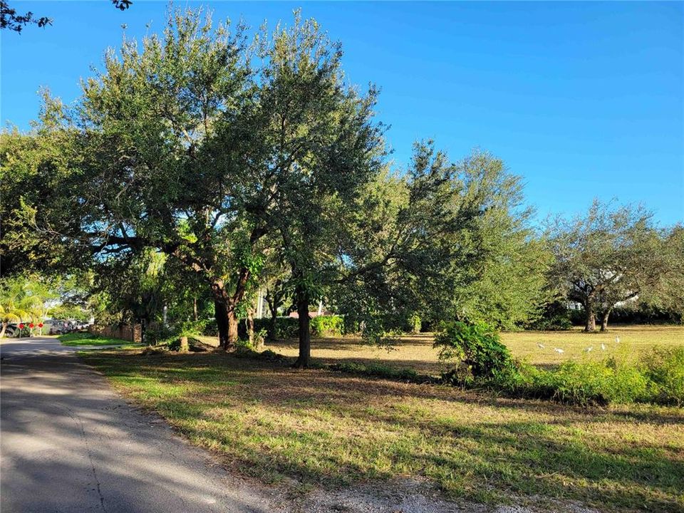 待售: $2,250,000 (1.15 acres)