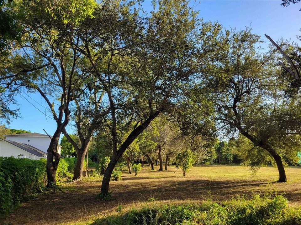 待售: $2,250,000 (1.15 acres)