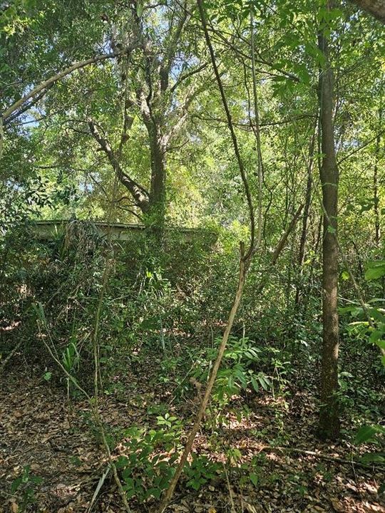 For Sale: $225,000 (1.21 acres)