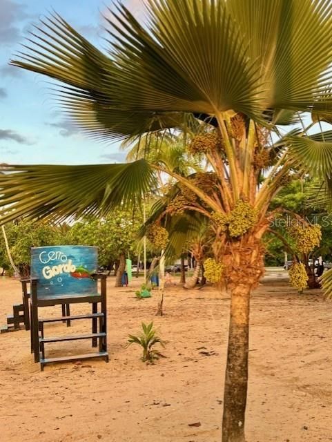 For Sale: $488,222 (4 beds, 3 baths, 2167 Square Feet)