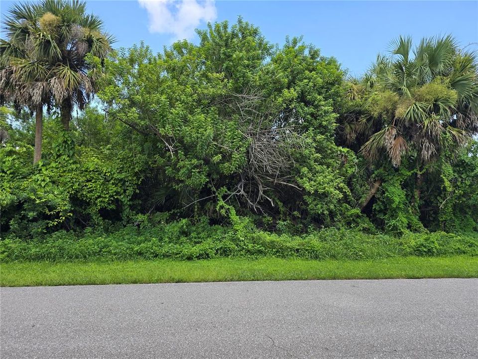 待售: $17,900 (0.23 acres)