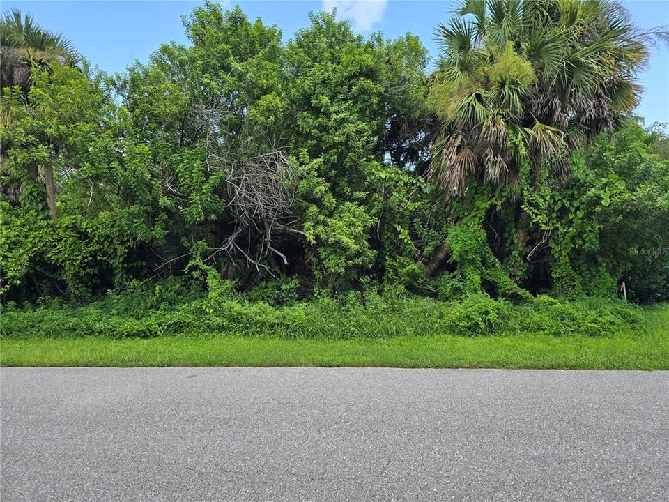 待售: $17,900 (0.23 acres)