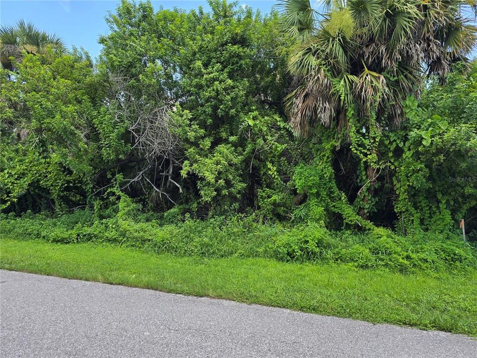 待售: $17,900 (0.23 acres)