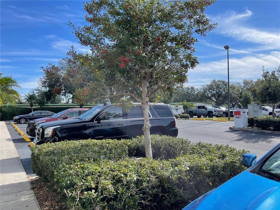 For Sale: $19,800 (0 beds, 0 baths, 12700 Square Feet)